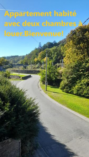 Vue sur la forêt à proximité de la gare Vielsalm